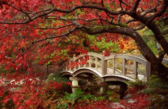 Top destinations in China in autumn