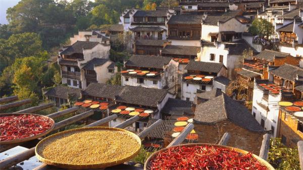 Wuyuan Autumn Harvest Festival