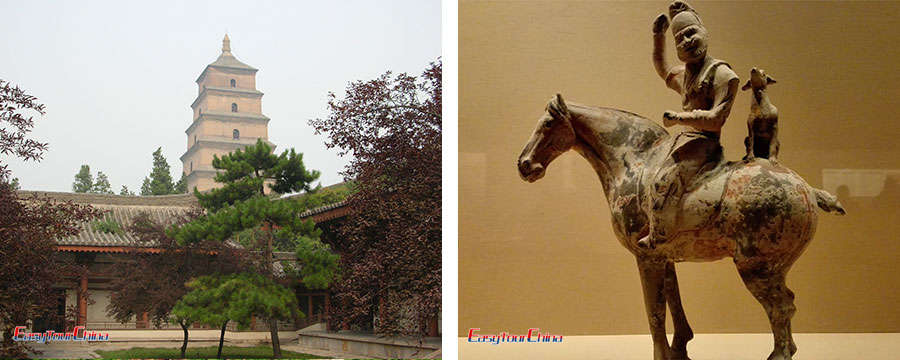 Xian tour to Wild Goose Pagaoda and Shaanxi History Museum