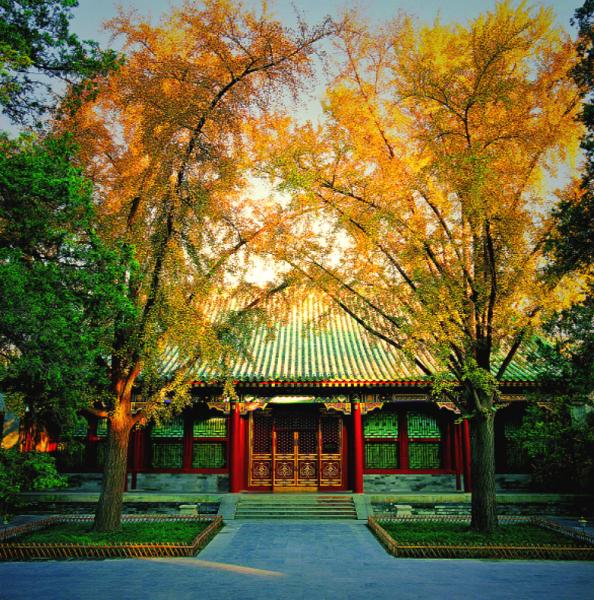 Prince Gong's Mansion in Autumn