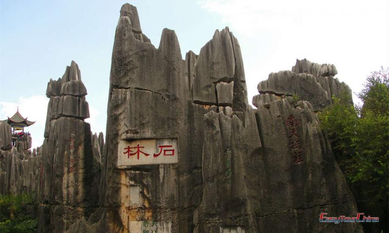 Stone Forest