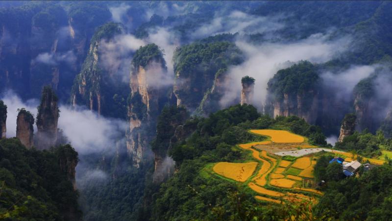 Tianzi Mountains in the mist